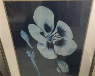 orchid painting