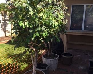 Large decorative artificial trees