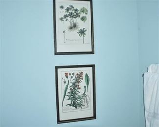 123. Two 2 Botanical Prints
