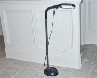 161. Floor Lamp with Adjustable Neck