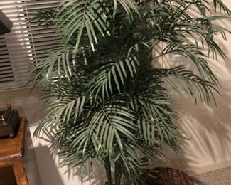 Artificial plants-great for office!