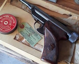 Vintage Pellet Gun