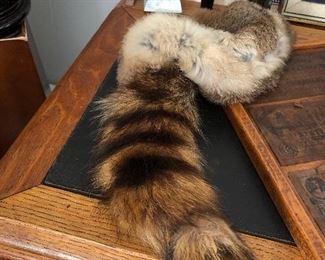 Coonskin cap