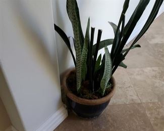 https://www.grasons.com/wp-content/uploads/2019/10/20191007-123941-391977-phLgSPWq.jpg