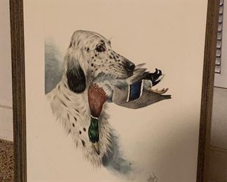 *Signed* Hunting Dog Litho	26x19	
