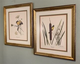 *Signed* Ray Harm Yellow-Throat Print Framed	 	
*Signed* Ray Harm Yellow-Breasted Chat Print Framed	