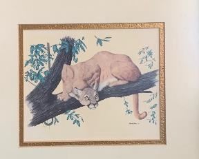 Gene Gray Animal Prints Framed	