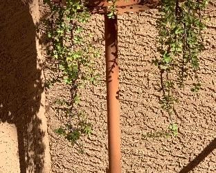 Antique Cast Iron Fern Pedestal Plant Stand