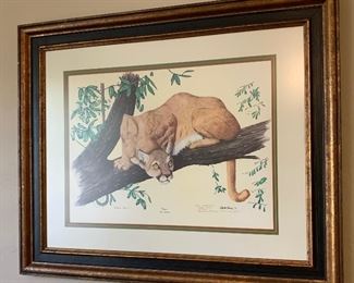 *Signed* Gene Gray Cougar Framed Print	