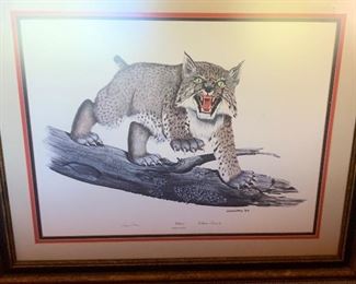 *Signed* Gene Gray Wildcat