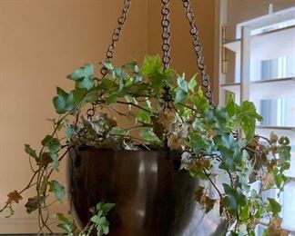 Hanging house Plant #1	NO Wall Mount	
