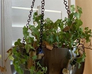 Hanging house Plant #2	NO Wall Mount	
