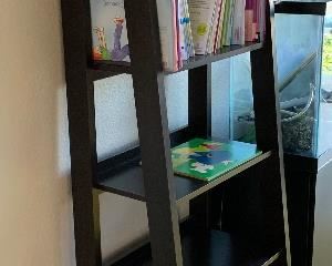 Dark Wood Trestle Bookshelf #2	71x23.5x16.5in	HxWxD
