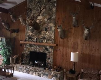 ELK HAS SOLD