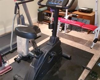 Exercise equipment.  Endurance 600 IU Xs