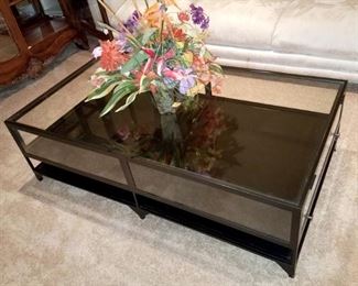 Display case coffee table