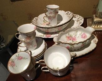"Baltimore Rose" hand-painted Haviland Limoges, various