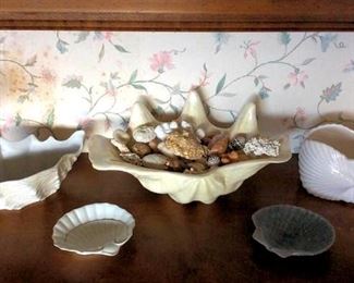 PFL084 Various Real Sea Shells & Shell Shaped Containers