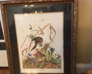 Lots of beautiful prints