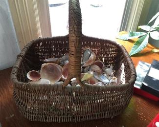 seashells and baskets