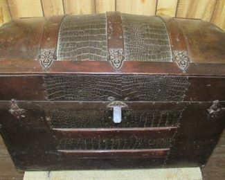 Great Hump Back Trunk