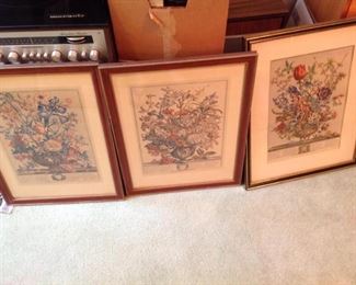 Floral Drawings For June, July, & February