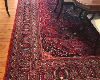 Large, exquisite Area Rug hand-woven in Iran.