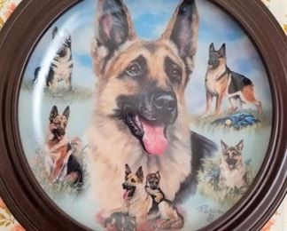 Numerous Collectible Plates