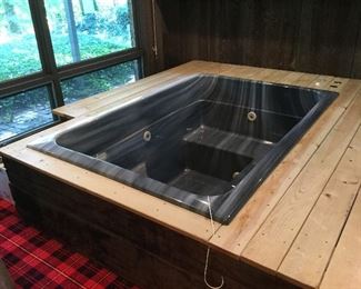 Jacuzzi hot tub. Includes deck, motor and water filter. Buyer de-installs and removes. This is available for purchase now. De-installation and removal takes place after the conclusion of the sale.