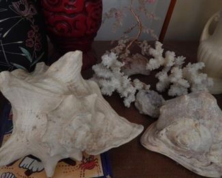 Treasures from the sea.