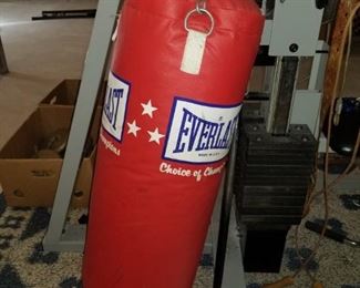 Everlast Punching bag 