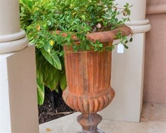 POTTED PLANT - ONE OF A PAIR