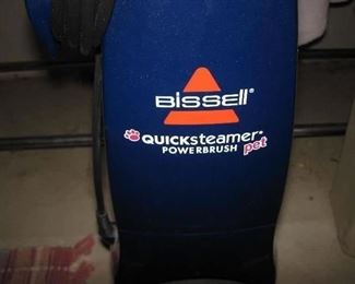 Bissell Steam Cleaner