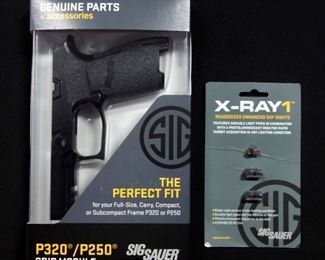Sig Sauer P320/P250 Grip Module/Frame And X-Ray 1 Ruggedized Enhanced Day Sights