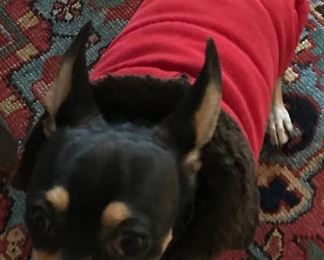 Wear your warmest Winter duds. It’s will be freezing inside and out!