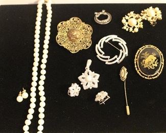 Costume Jewelry-pins, necklaces, earings