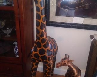Leather bound Giraffes