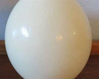 Ostrich Egg