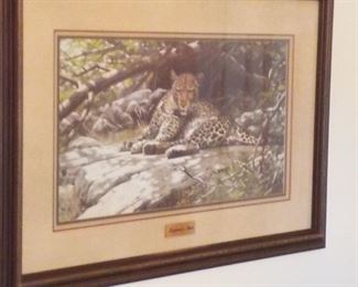 Leopard's Lair, Guy Coheleach 