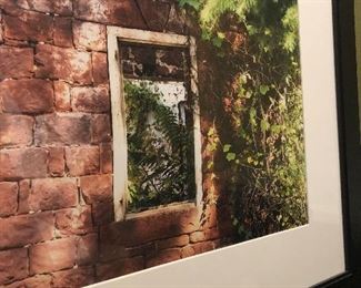 Original Photographic Framed Art by Margaret Lualdi "Dreaming"