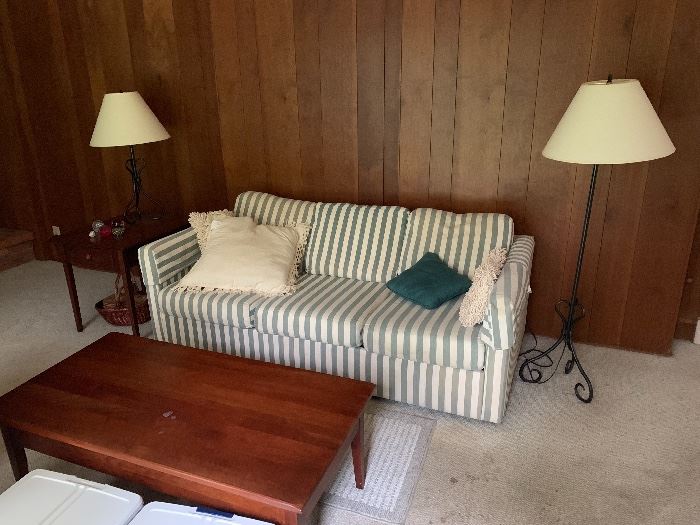 Sleeper sofa and coffee table