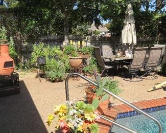 Full backyard, live plants