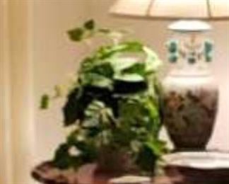 0036 Main Building Living Room Plant silk ivy with pot profile
