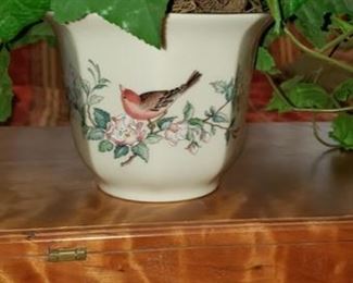 0039 Main Building Living Room Plant silk ivy with pot Photos