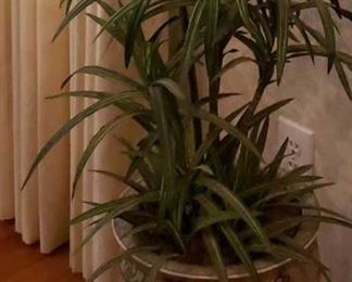 1344 Main Building Dining Room Silk plant in pot profile
