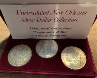 Morgan Dollar Set