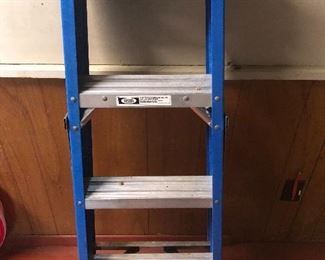 Small Werner ladder.. great size