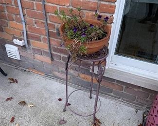 OUTDOOR PLANTS