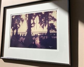 Louisiana Solitary Express . By: Natural  Geographic Photographer CC Lockwood.