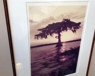 Louisiana Autumn Sunset . By: Natural  Geographic Photographer CC Lockwood.